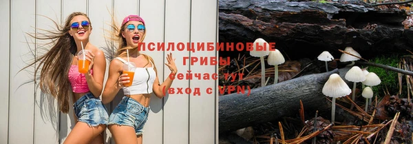 молекула духа Алзамай