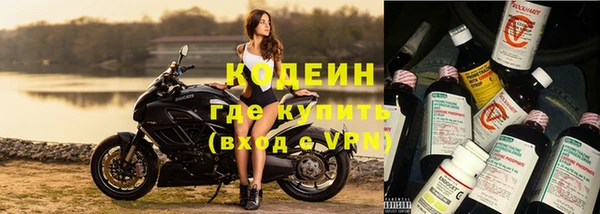 молекула духа Алзамай