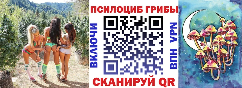 Галлюциногенные грибы Psilocybe  Первоуральск 
