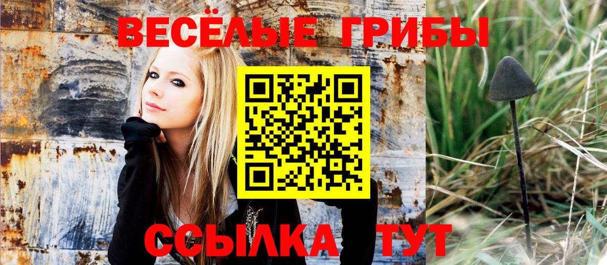 Псилоцибиновые грибы мицелий  Вход с VPN  Первоуральск 